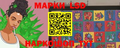 сатива Будённовск