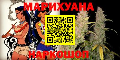 сатива Будённовск