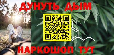 сатива Будённовск