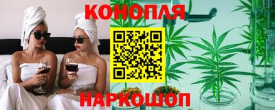 сатива Будённовск