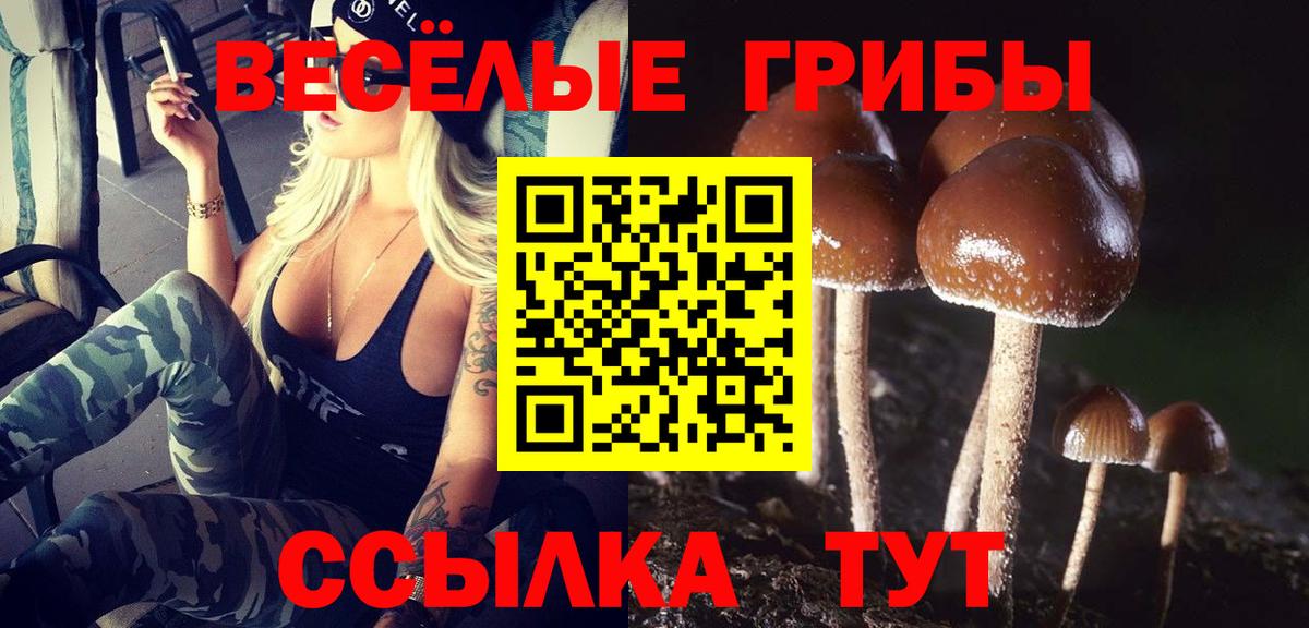Псилоцибиновые грибы прущие грибы Новосибирск